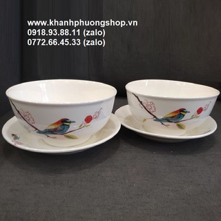 tô sứ - tô sứ trắng