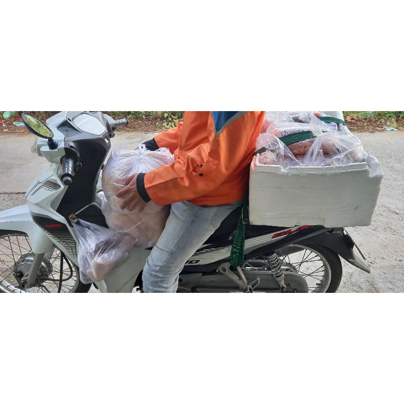 500Gr Yến Mạch Úc Nguyên Chất cho ❤️ - Thức ăn tươi cho chó mèo - GIAO HỎA TỐC - Joyful Day