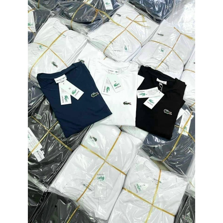 Áo thun nam Combo 3 áo phông cá sấu cổ tròn Lacos mềm mịn chất cotton 4 chiều