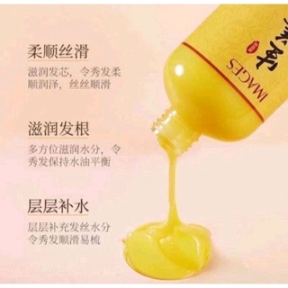 Dầu gội gừng mọc tóc Images
