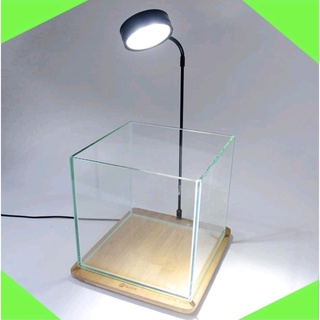 ĐÈN LED + ĐẾ GỖ