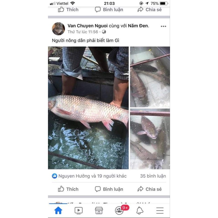 Mồi câu trắm trắng 5 Đen