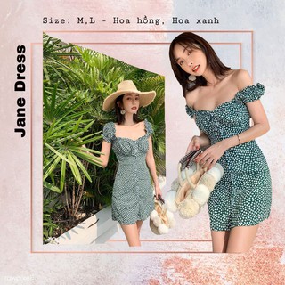 Đầm hoa nhí bèo ngực