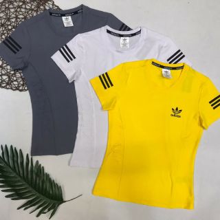Áo thun đục lỗ laze(giao màu ngẫu nhiên)