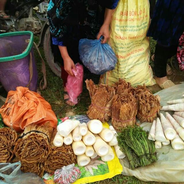 Măng nứa khô,