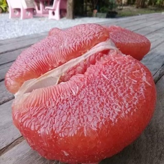 Bưởi RuBy Thái Lan