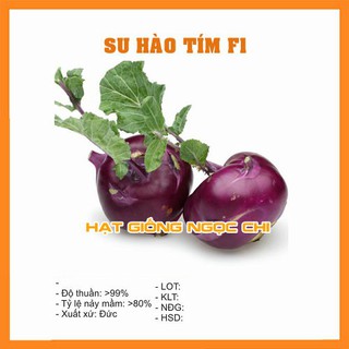 Hạt Giống Củ Su Hào Tím - 0.5Gr