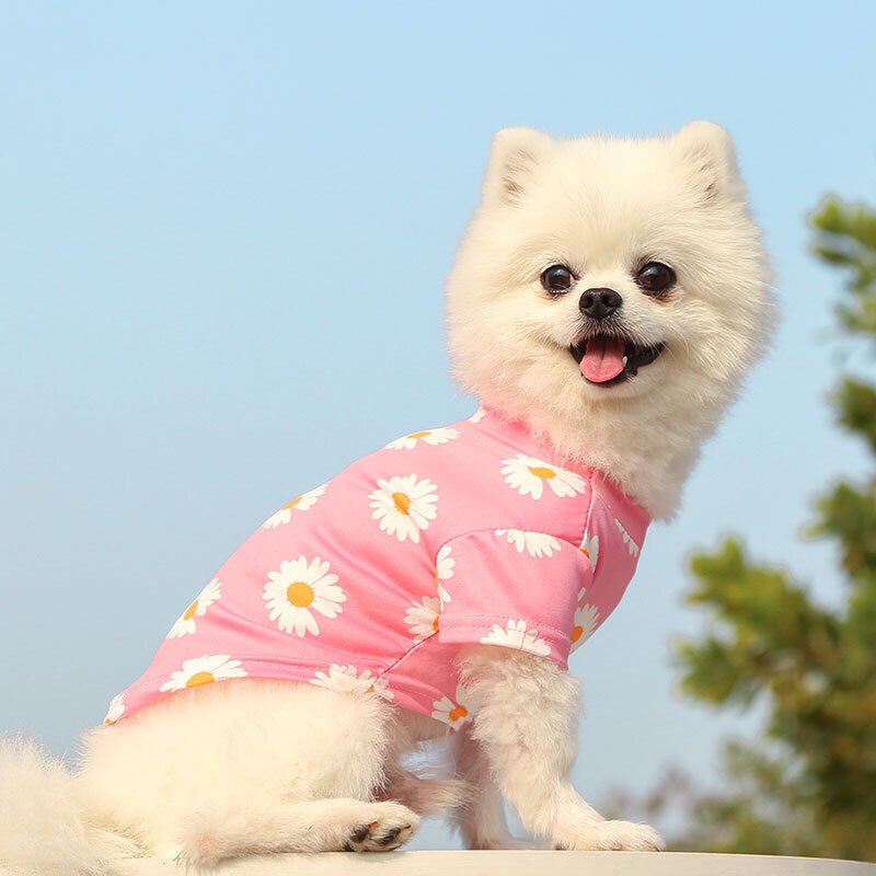 Áo thun cho Chó Mèo xuân hè - Hoạ tiết hoa siêu dễ thương ChunChut PetShop