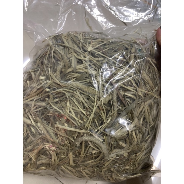 500g cỏ timothy cho sóc, thỏ , bọ