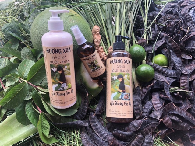 Combo Dầu gội bồ kết và Dầu Xả Hương Xưa | BigBuy360 - bigbuy360.vn