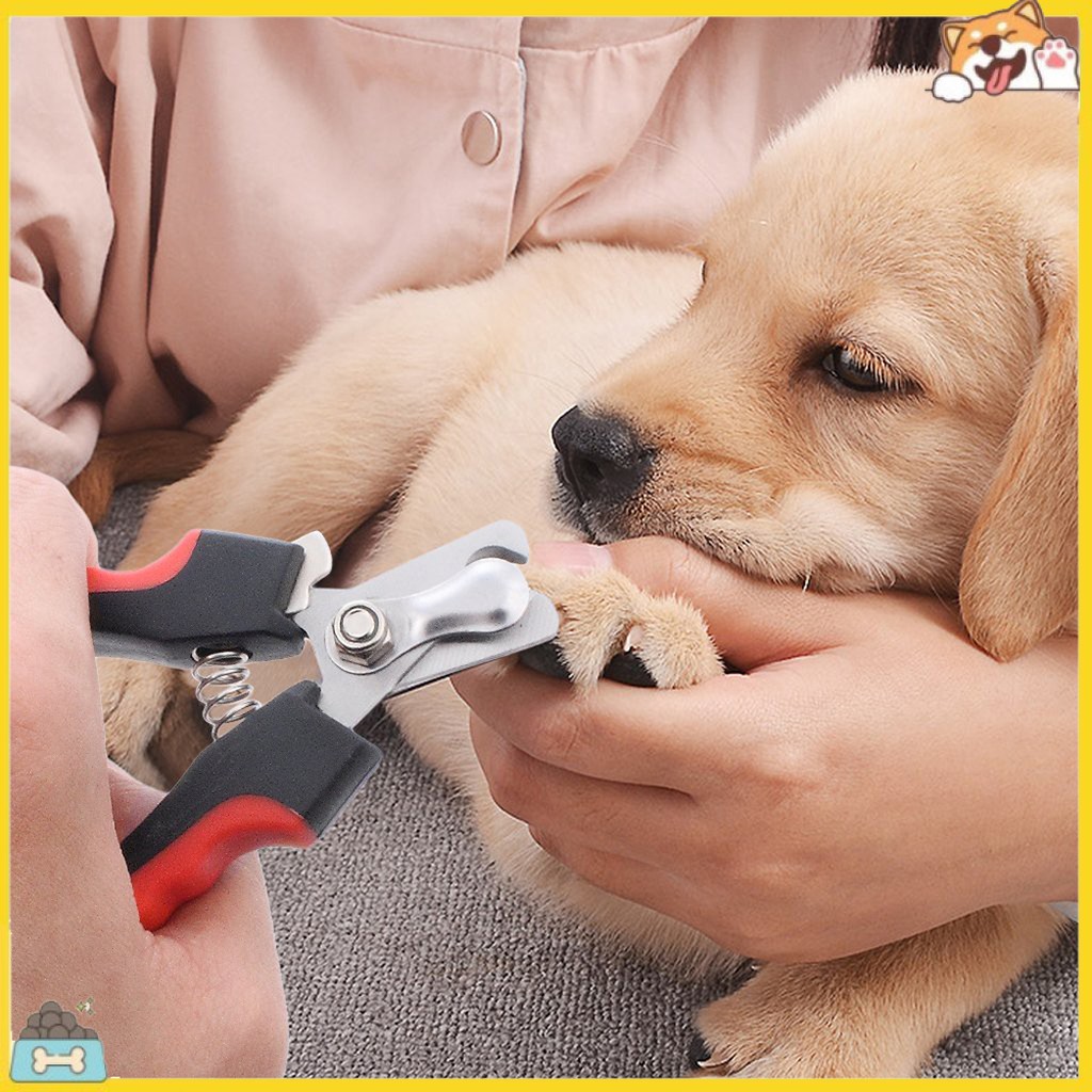 Kéo Cắt Móng Cho Thú Cưng Bằng Thép Không Gỉ