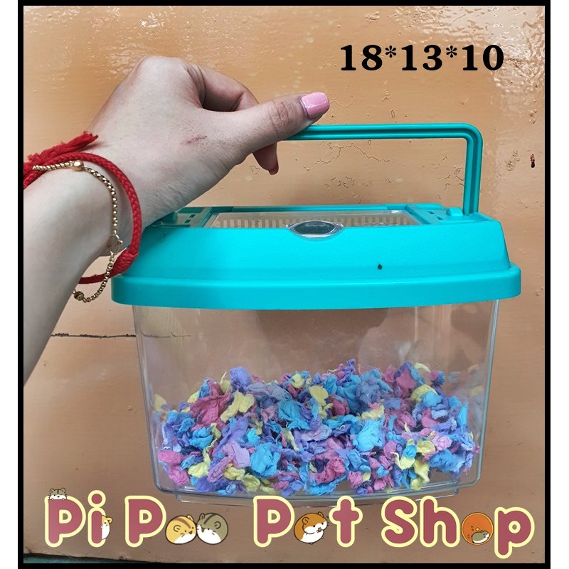 Hộp mika xách tay cho thú cưng