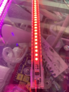 ⚡️Led Thanh 220V - 30cm - ⚪️🟡🟣🔴🟢🔵
