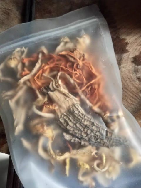 Set canh nấm kháng thể