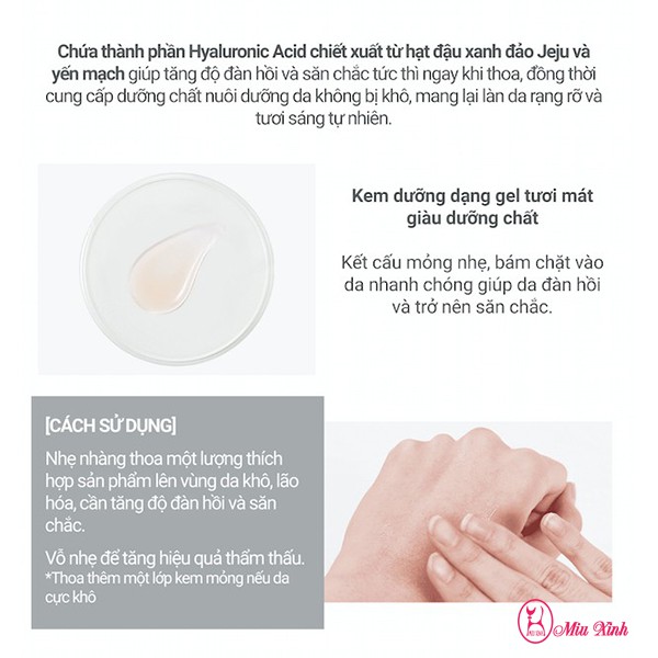 Tinh Chất Dưỡng Ẩm Và Chống Lão Hóa Da [INNISFREE] Jeju Orchid Enriched Essence