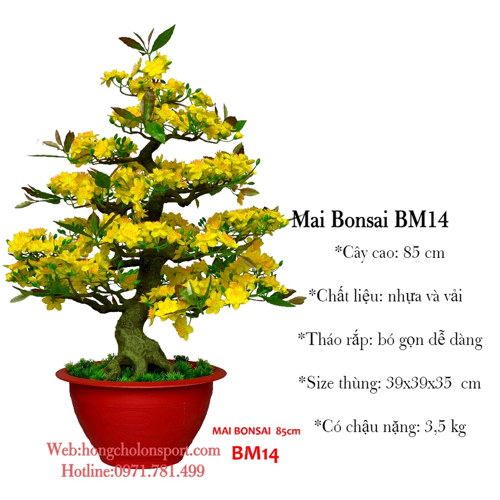 Hoa Mai Giả Giá Rẻ Tháng 5,2023|Biggo Việt Nam