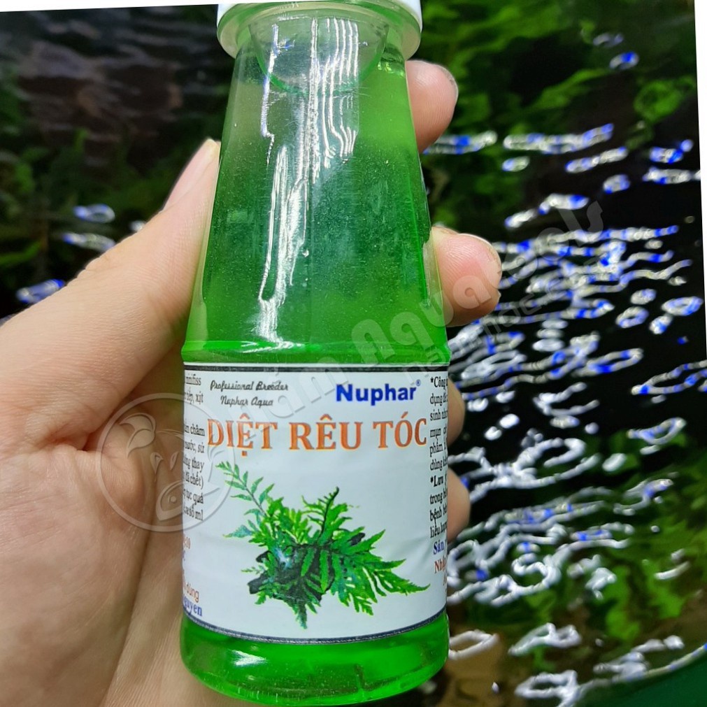 Diệt rêu tóc Nuphar Chế Phẩm Đặc Trị Rêu Tóc Và Kiểm Soát Mọi Loại Rêu Hại