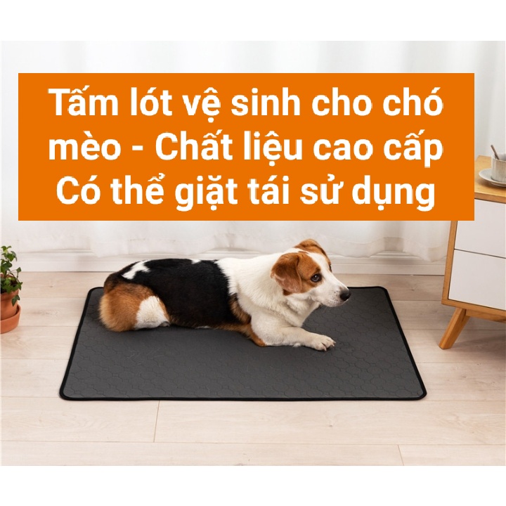 Tã lót chuồng vệ sinh cho chó mèo siêu thấm hút có thể giặt tái sử dụng