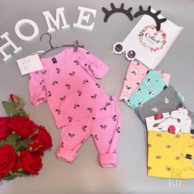 Thao Nguyên (6 bộ 17kg)