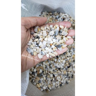 Sỏi 3 màu bé trang trí làm nền bể cá, chậu cảnh, bể thủy sinh, terrarium