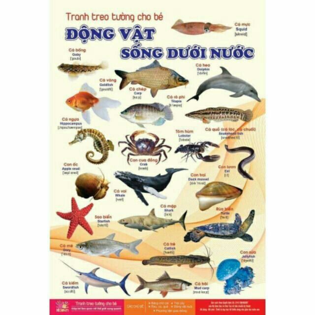 Bộ tranh treo tường 14 chủ đề - hình ảnh đẹp