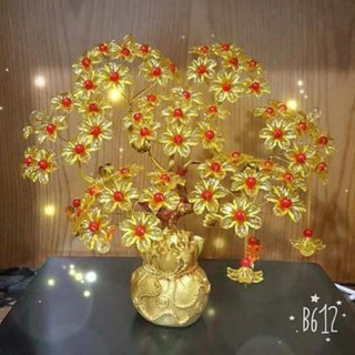 Hot!!! cây tài lộc
