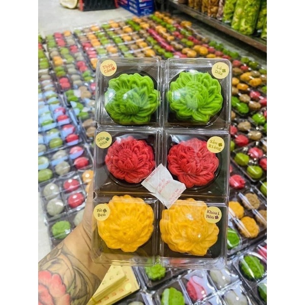 Combo 10 khay đựng bánh trung thu 6 ô