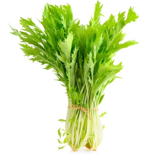 Hạt Giống Cải Mizuna Lai F1 (KYOTO909) 5gr
