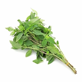 Rau húng quế tươi sạch giao nhanh 1-2h