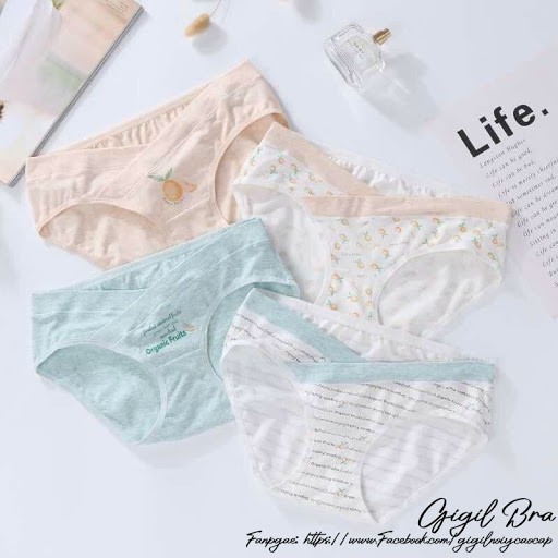 Sét 4 Quần Lót Bầu Cạp Chéo Túi Zip Xịn Chất Cotton, Co Giãn Đàn Hồi size từ 40-85kg