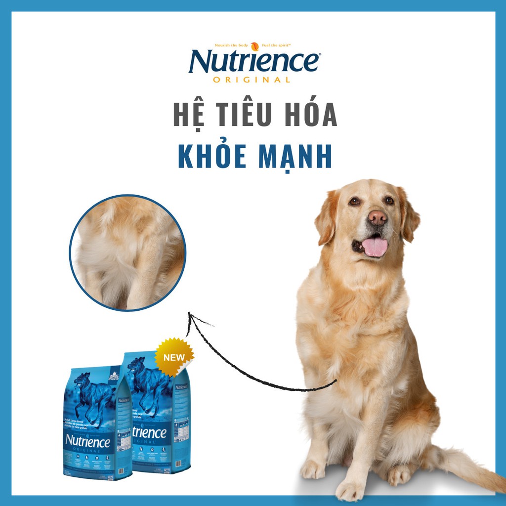 Thức Ăn Cho Chó Pitbull - Phát Triển Cơ Bắp Nutrience Original Bao 11,5kg - Thịt Gà, Gạo Lứt, Rau Củ, Trái Cây