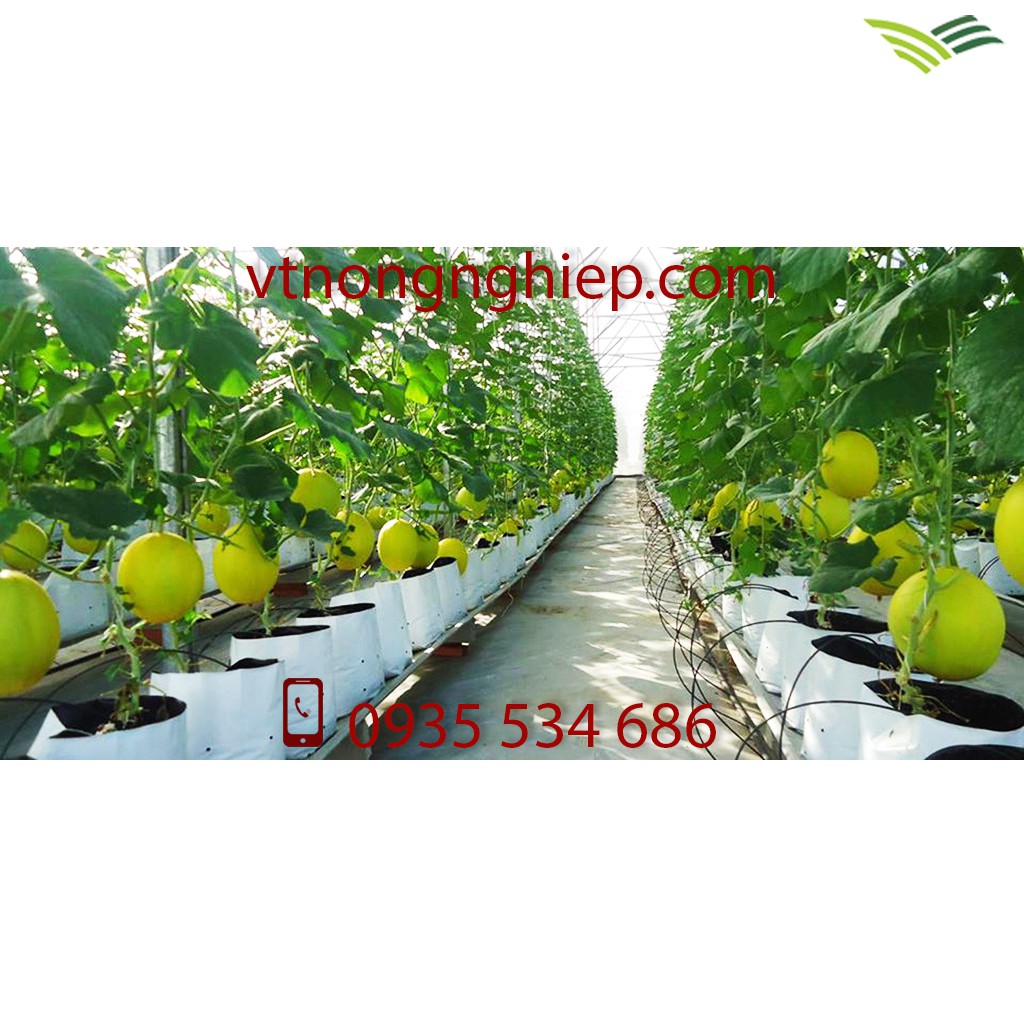 1kg Túi trồng cây 2 lớp 18x36 Trắng+Đen , túi trồng cây pe 2 lớp chuyên dùng trồng dưa lưới