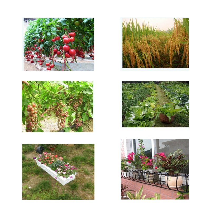 Thiết Bị Đo Độ Ẩm Đất Trồng Cây 3 Trong 1