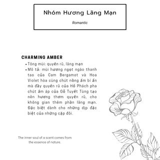 Nến thơm Classic - ADORA