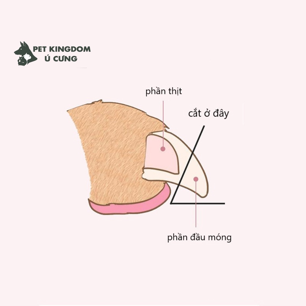Kìm Bấm Móng Chó Mèo Kèm Dũa