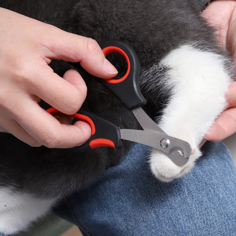 Kìm cắt móng dành cho chó mèo kèm dũa, nhỏ gọn tiện lợi