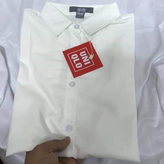 Combo 2 chiếc áo sơmi trắng uniquilo