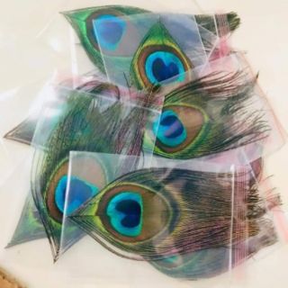 Combo 2 lông công ốp điện thoại 50k