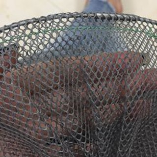túi lưới đựng cá