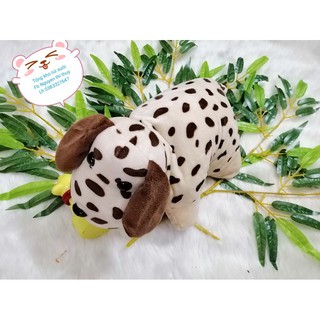 Túi sưởi chườm nóng lạnh đa năng