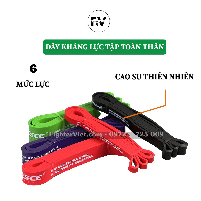 Dây Kháng Lực Powerband, Dây Cao Su Tập Toàn Thân Process Cao Cấp