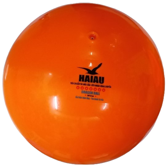 BÓNG CHUYỀN HƠI - HẢI ÂU - 200G - 250G - BANH CHUYỀN HƠI - TIÊU CHUẨN THI ĐẤU - HÀNG CHÍNH HÃNG