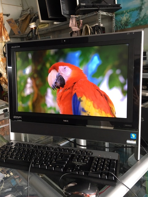 All in One Nec | BigBuy360 - bigbuy360.vn