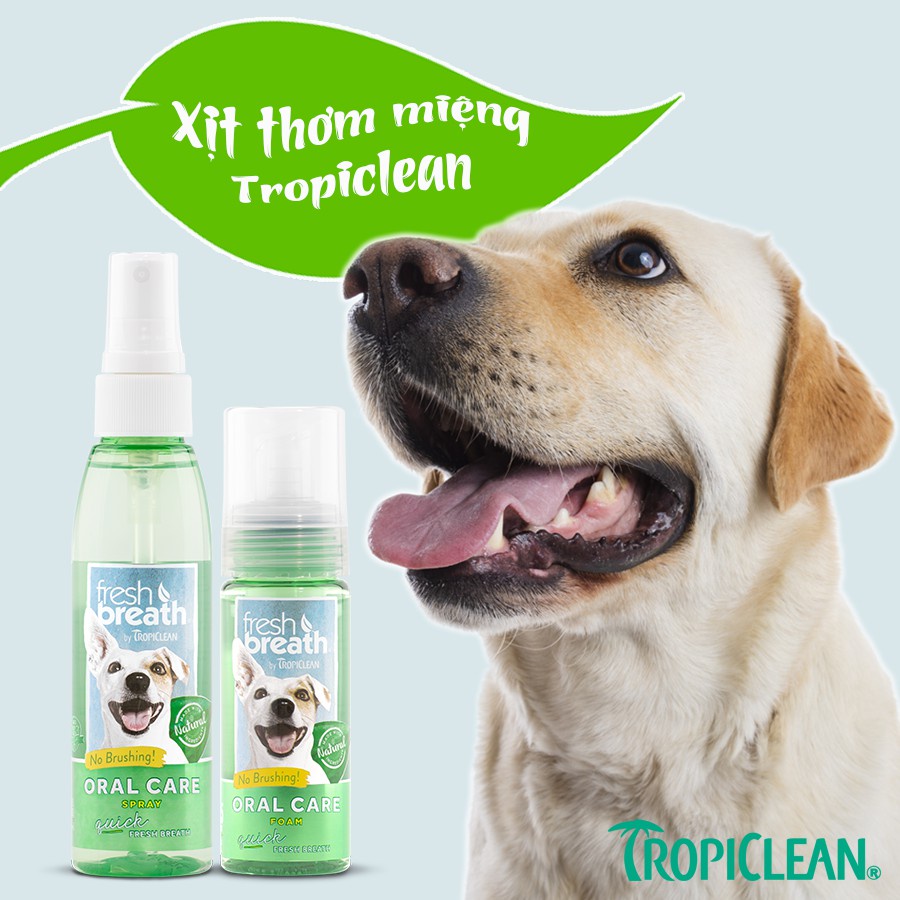 Xịt miệng cho chó mèo Tropiclean 118ml, vệ sinh chăm sóc răng miệng thơm mảng bám hôi miệng Con Mèo Xiêm