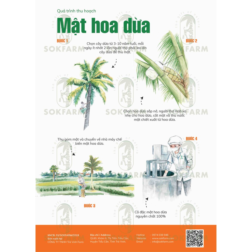 Mật Hoa Dừa SokFarm - Dành cho người Ăn Chay - Thay thế cho mật ong rất tốt | BigBuy360 - bigbuy360.vn