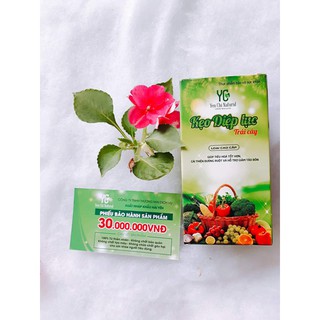 {Quà tặng Tảo Non Diệp Lục trị giá 90K} { Freeship}KẸO  DIỆP LỤC TRÁI CÂY YẾN CHI { Đánh bay táo bón sau 3-5 ngày}