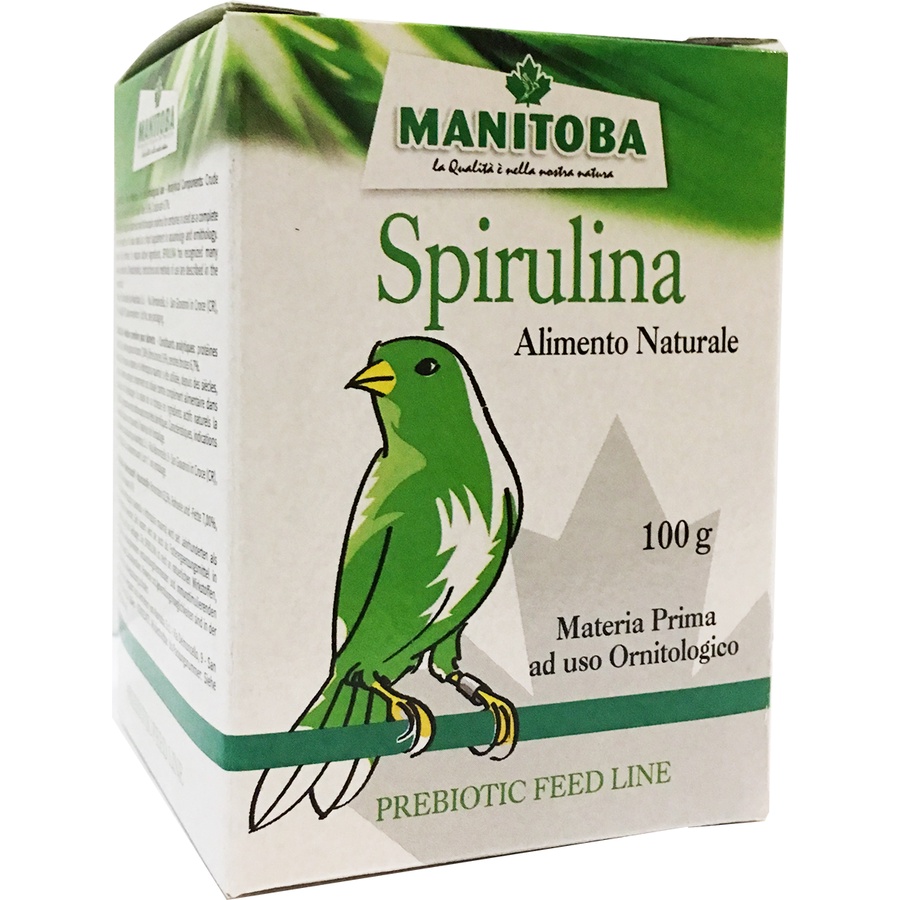 Tảo Spirullina Cho chim