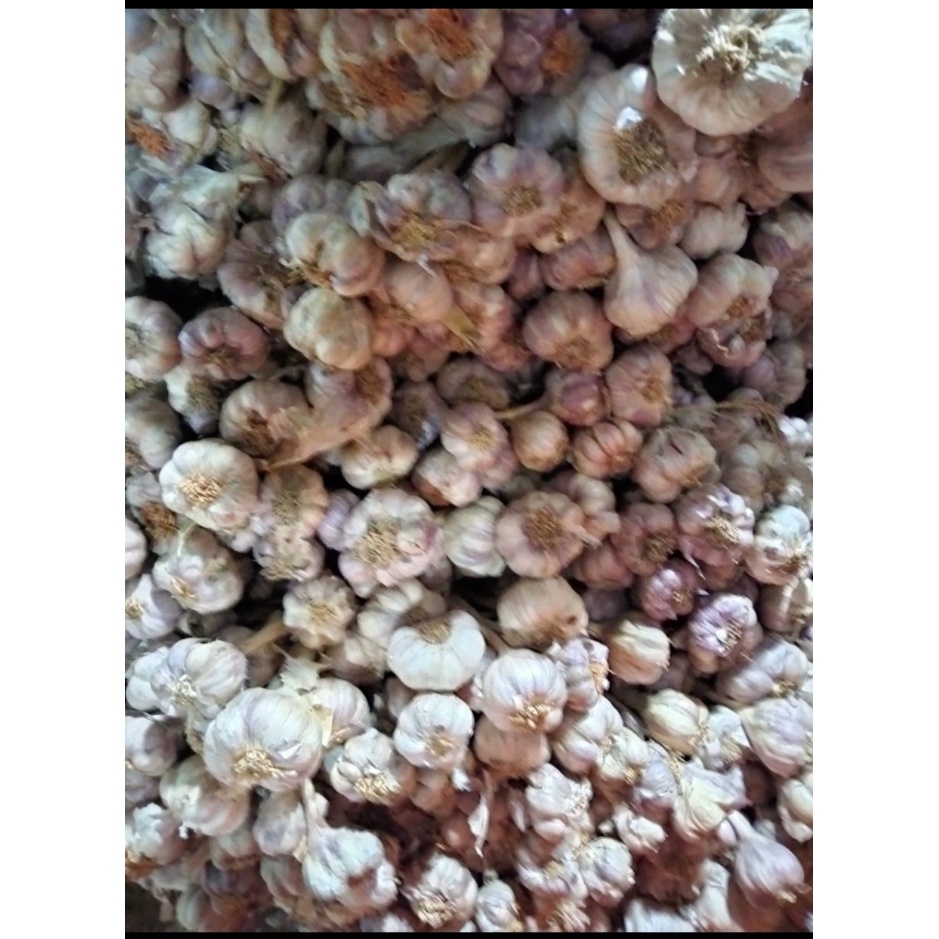 Tỏi ta khô Kinh Môn Hải Dương thơm ngon