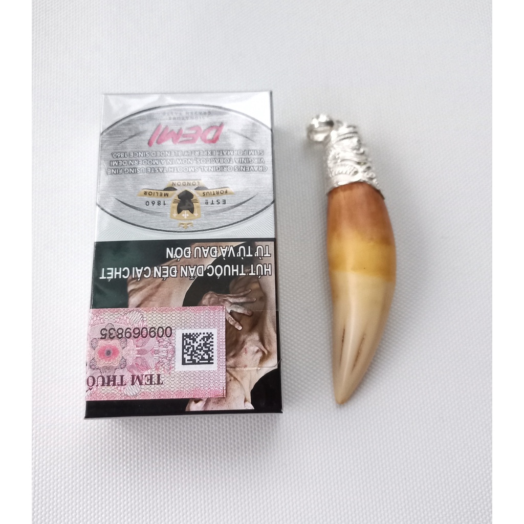 Nanh cọp nhân tạo 7cm bọc bạc