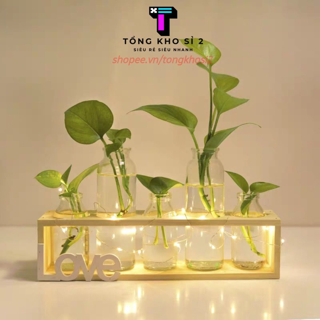 PVN15118 Bộ cắm hoa, trồng cây màu gỗ tự nhiên T2